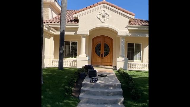 Sagina sabulata, она же мшанка шиловидная сама себя не посадит..? смотреть онлайн