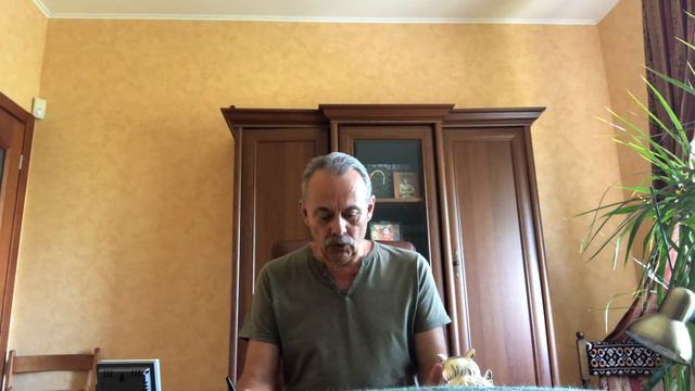 Здоровое питание. Шелковица- польза и вред.