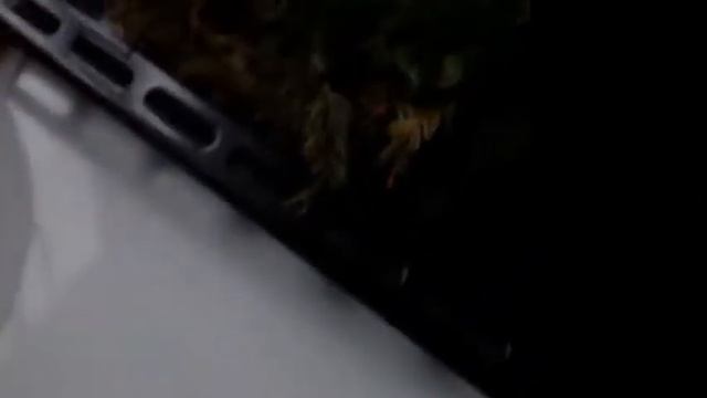 Витаминная добавка для кур-несушек зимой. смотреть онлайн