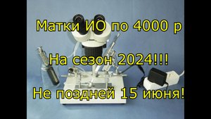 Матки инструментального осеменения на сезон 2024!