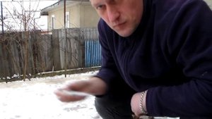 Глисты у собак!КАК лечить Глисты  ??? Стаффордширский Терьер бойцовая собака