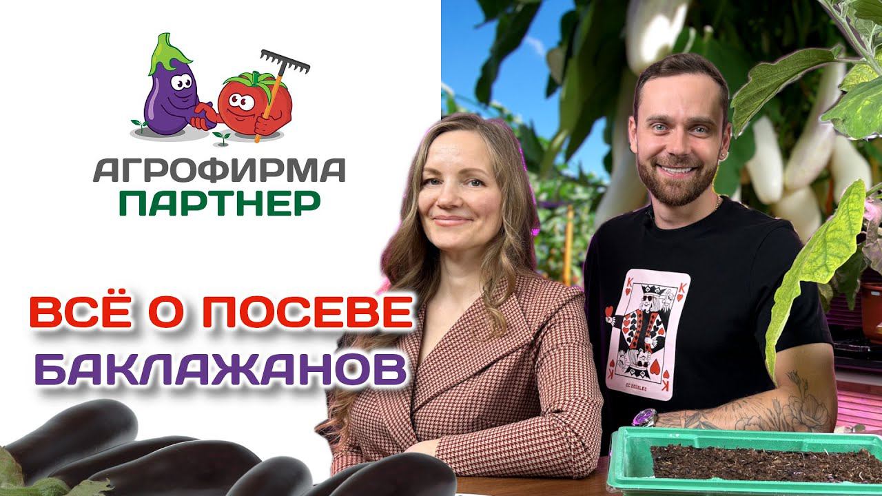Всё о посеве баклажанов | #огород #рассада #семена