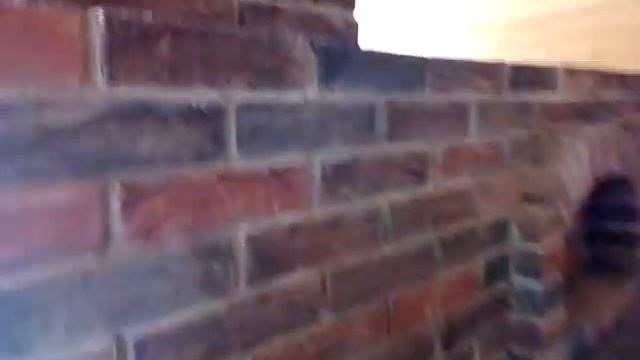 15 февраля 2021 г. смотреть онлайн