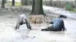 Нажрались, что встать не могут