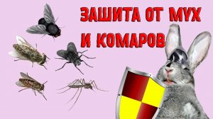 Как защитить кроликов комаров, мух и вирусов