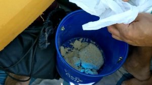 Прикормка на Леща | Приготовление Пшонной каши для белой рыбы