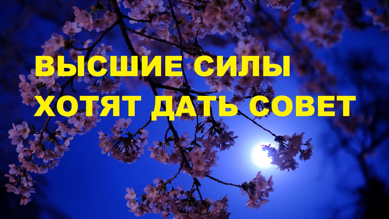 МЕЧТЫ РАЗРУШЕНЫ ИЗ-ЗА ЕГО ЖАДНОСТИ. СОВЕТ ВАМ ОТ ВЫСШИХ СИЛ / Карты Таро расклад