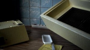 #Инкубатор Золушка. Отзыв владельца