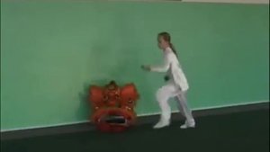 20 форм чанцюань