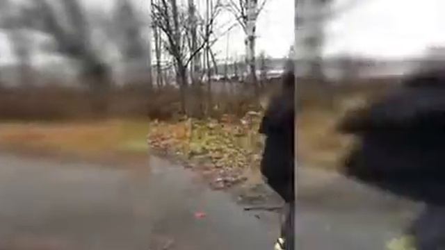 Бомжиха смотреть онлайн