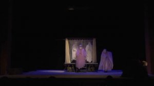 Видео спектакля "Черная курица" Театр юного зрителя