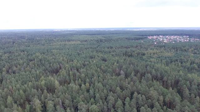 Съемка полигона в п.Филипповское со стороны СНТ 