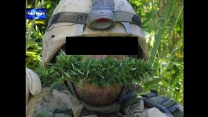 Des soldats canadiens dans un champs de cannabis