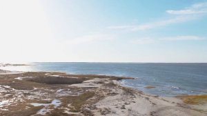 Songscape: Forsythe National Wildlife Refuge with Ben Sollee - Slackwater