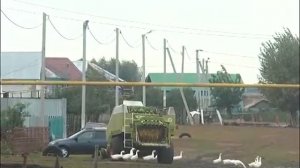 Хайруллин в Алькеевском районе рус2