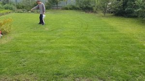 Как улучшить газон.