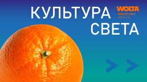 Гала-ужин «Культура света» компании WOLTA® в рамках международной выставки – Interlight Russia 2023