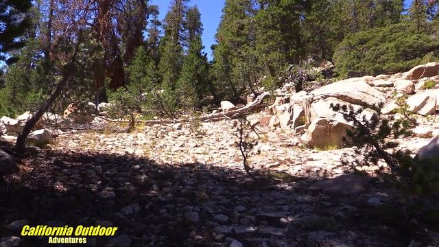 California Highway 4 Wagon Road смотреть онлайн