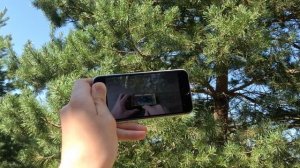 iPhone X 2023 vs iPhone SE 2020 СРАВНЕНИЕ в РЕАЛЬНОЙ ЖИЗНИ