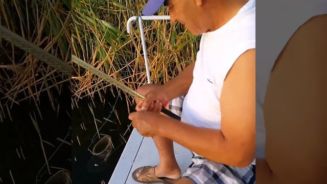 Вечерняя рыбалка. смотреть онлайн