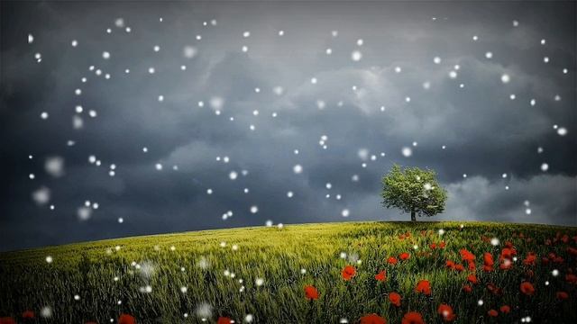 Sehaj path di maryada | sehaj path | смотреть онлайн