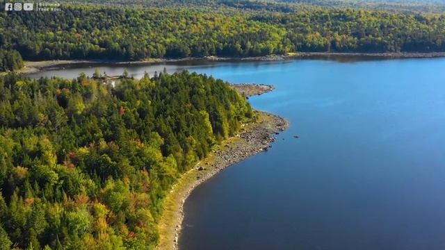 Красивая расслабляющая музыка • Спокойная фортепианная музыка ? Yспокаивающая музыка для нервов смотреть онлайн