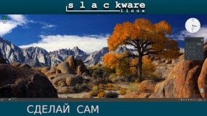 Установка Slackware 15 на один SSD с Windows 10