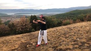 Ицюань - Кёкусинкай / Исследование (19). Обзор методов Ицюань