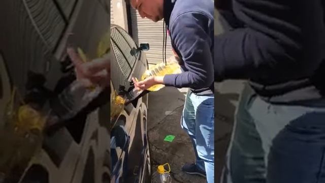 Топлива подсолнечное масло для дизель ? смотреть онлайн