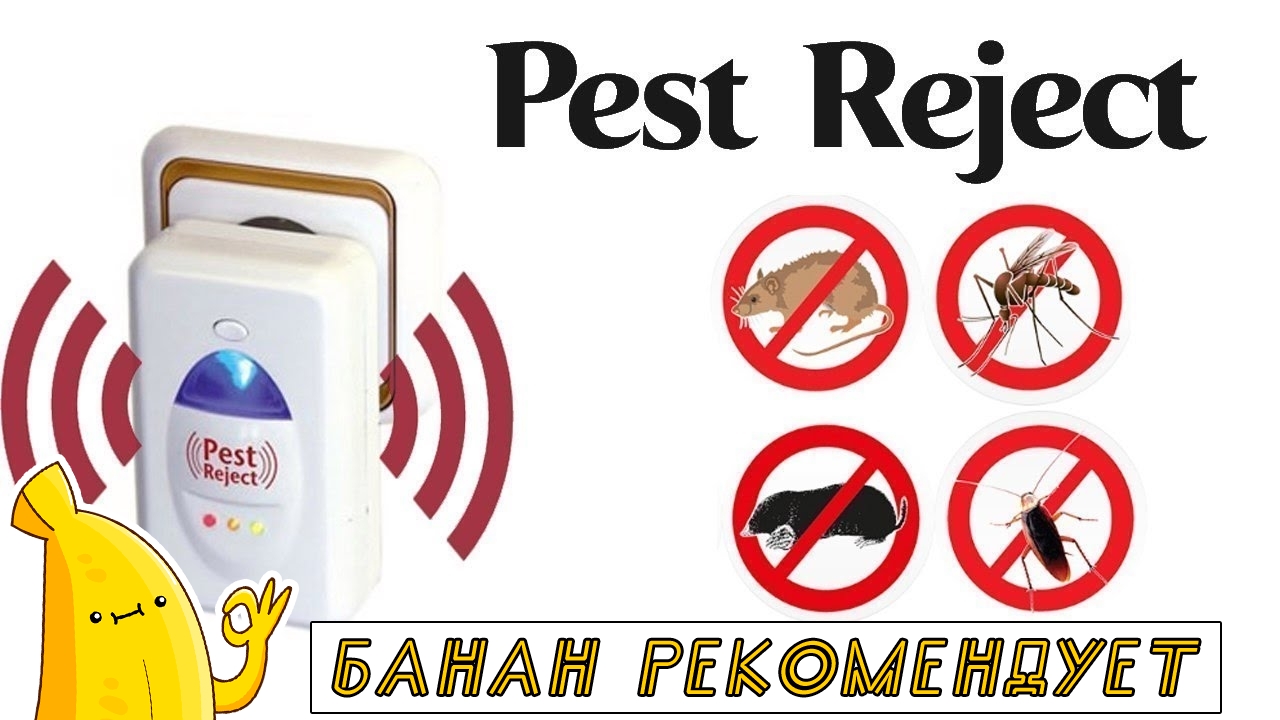 Pest reject схема