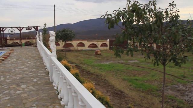 Дом 500 кв.м. земля 2300 кв.м.