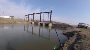 Отчёт о рыбалке на Беловском водохранилище 13-04-2019