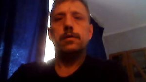 Как приручить волнистого попугая к рукам?