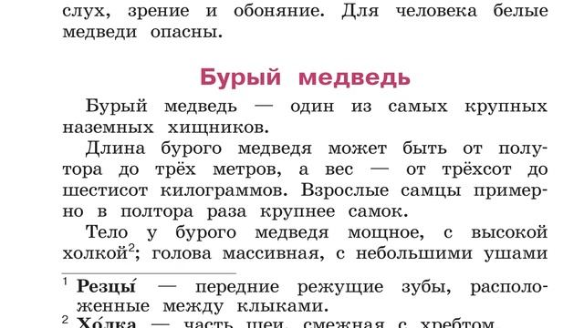 УМК "Грамотный читатель". Обучение смысловому чтению
