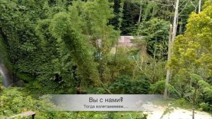 БАЛИ. КОФЕ ЛЮВАК (LUWAK) - как делают?