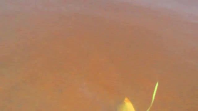 шереспёр смотреть онлайн