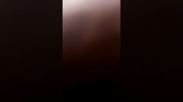 Манго Сушеное Olmish Premium