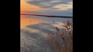 Осень 2022г. Охота на Сахалине