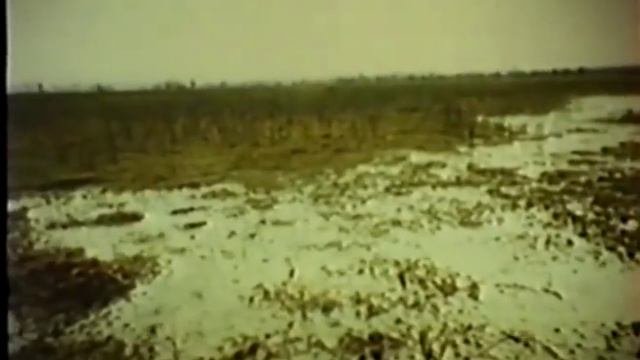 Экологические системы и их охрана