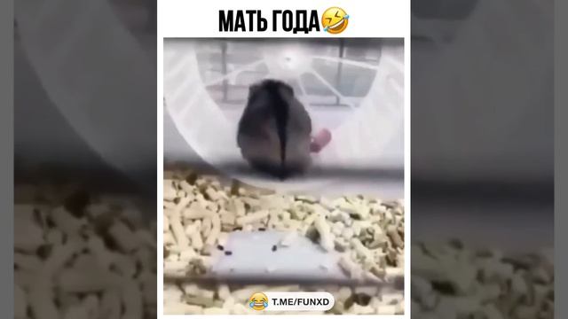 мать года