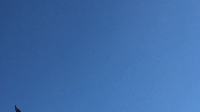 Bacunayagua Bridge and Vultures in the Sky - Matanzas - Cuba смотреть онлайн