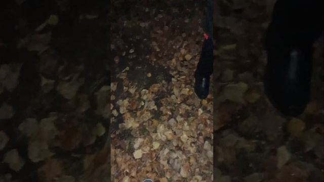 блендер 3 часть смотреть онлайн