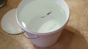 БОКОПЛАВЫ БАКОБАЛАНСИРЫ Отличие.