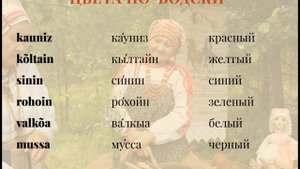Водский язык