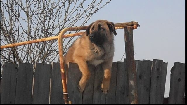 КАТАКЛИЗМ