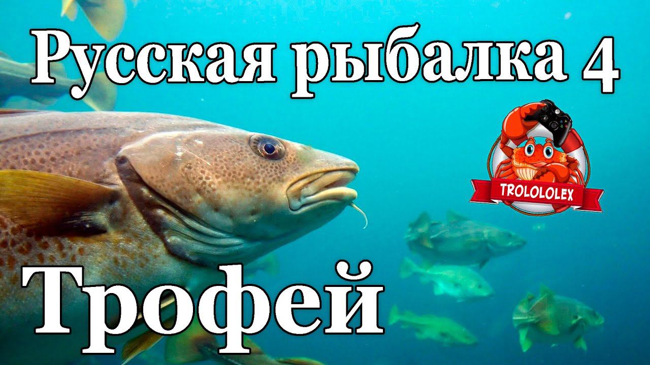 Русская рыбалка 4 Трофей Треска Норвежское море смотреть онлайн