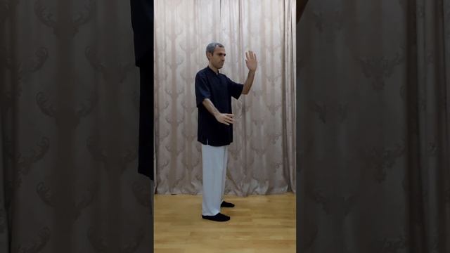 Практика Тайчи  - Урок 2 "Лоу си ао бу"