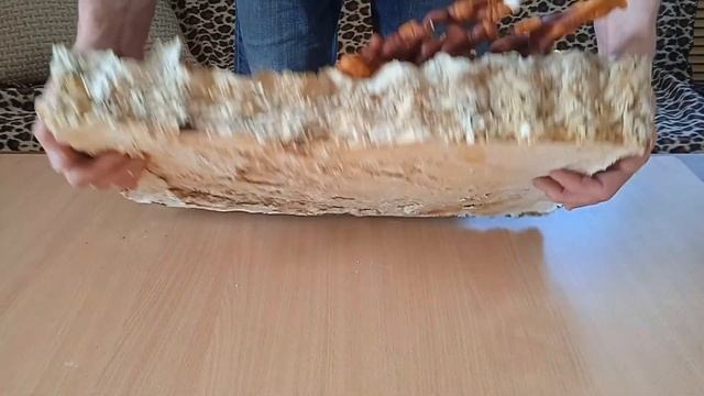 Гриб Рейша в домашних условиях. Первый опыт.