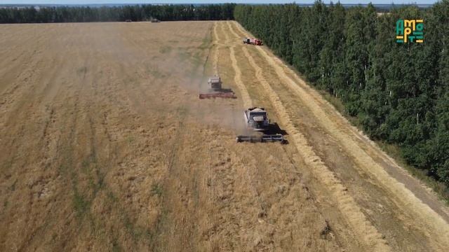 В Татарстане комбайнеры зарабатывают наравне с айтишниками