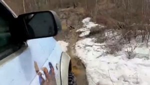 Путешествие по весеннему лесу на УАЗе/ Уаз Патриот/ Уаз на 33"/ Offroad Uaz Patriot